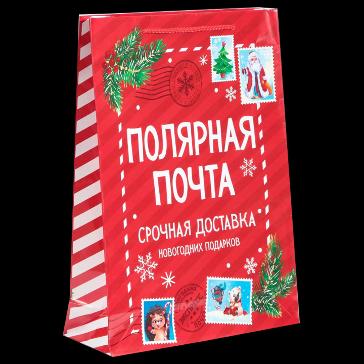 Gift paper bag - Polar Post, vertical, laminated, 28 × 38 × 9 cm