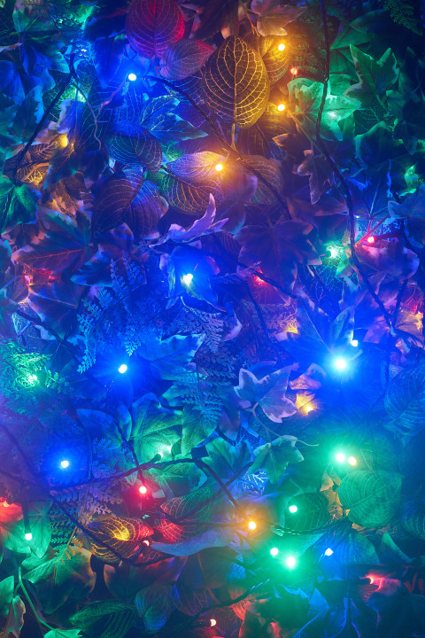 LED Lichterkette mit 100 multicolor LED's, 13 m