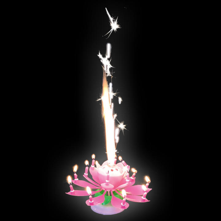 MUSIKKERZE - HAPPY BIRTHDAY- Melodie, Rose