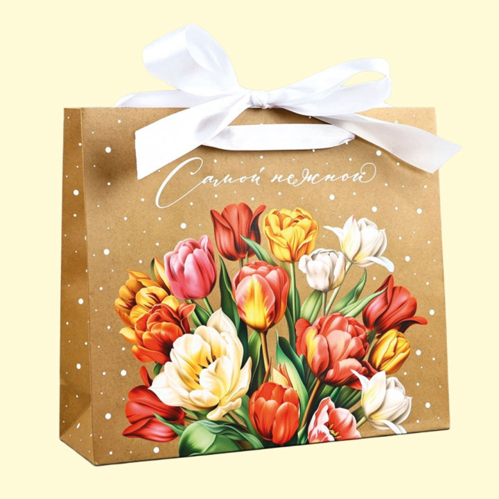 Laminated Bag with Ribbon For the Most Gentle, 30 × 9 × 26 cm