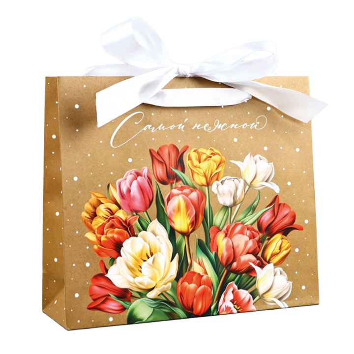 Laminierte Tasche mit Band Für die Zarteste, 30 × 9 × 26 cm *