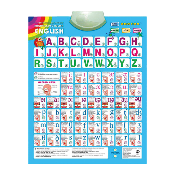 Audio-Plakat Englisch 47 x 59 cm