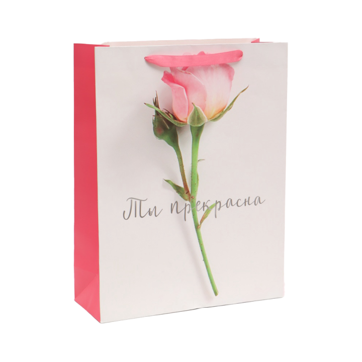 Laminated Gift Bag You Are Beautiful, 31 × 40 × 11.5 cm