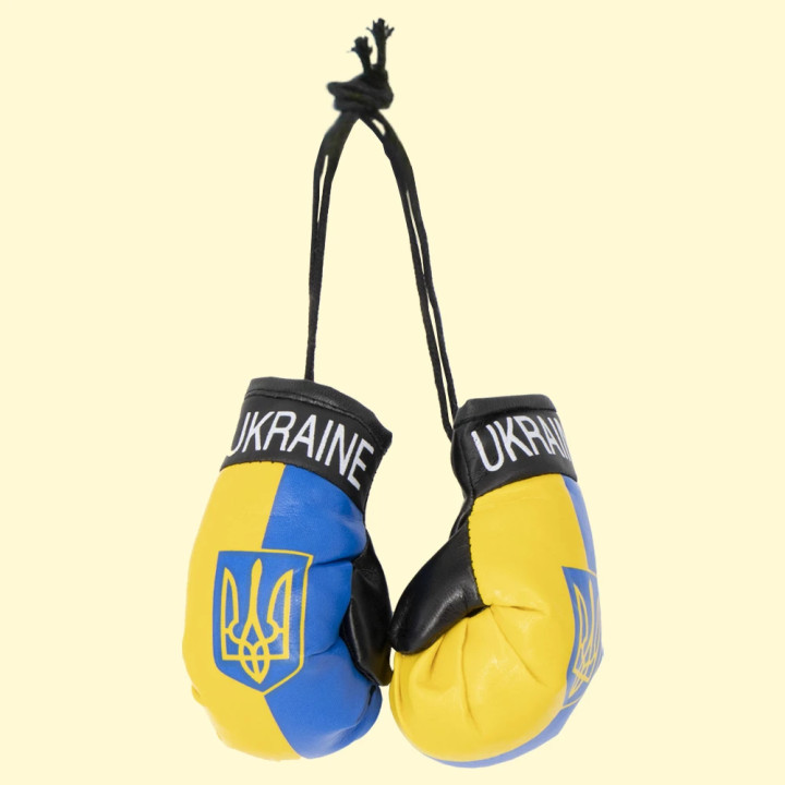 Boxing gloves for car Ukraine