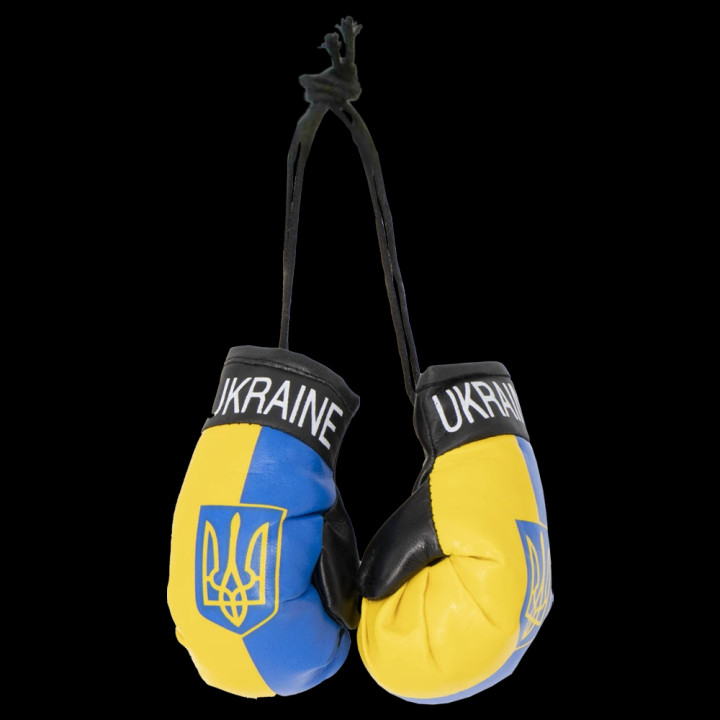 Paar Boxhandschuhe Ukraine für das Auto